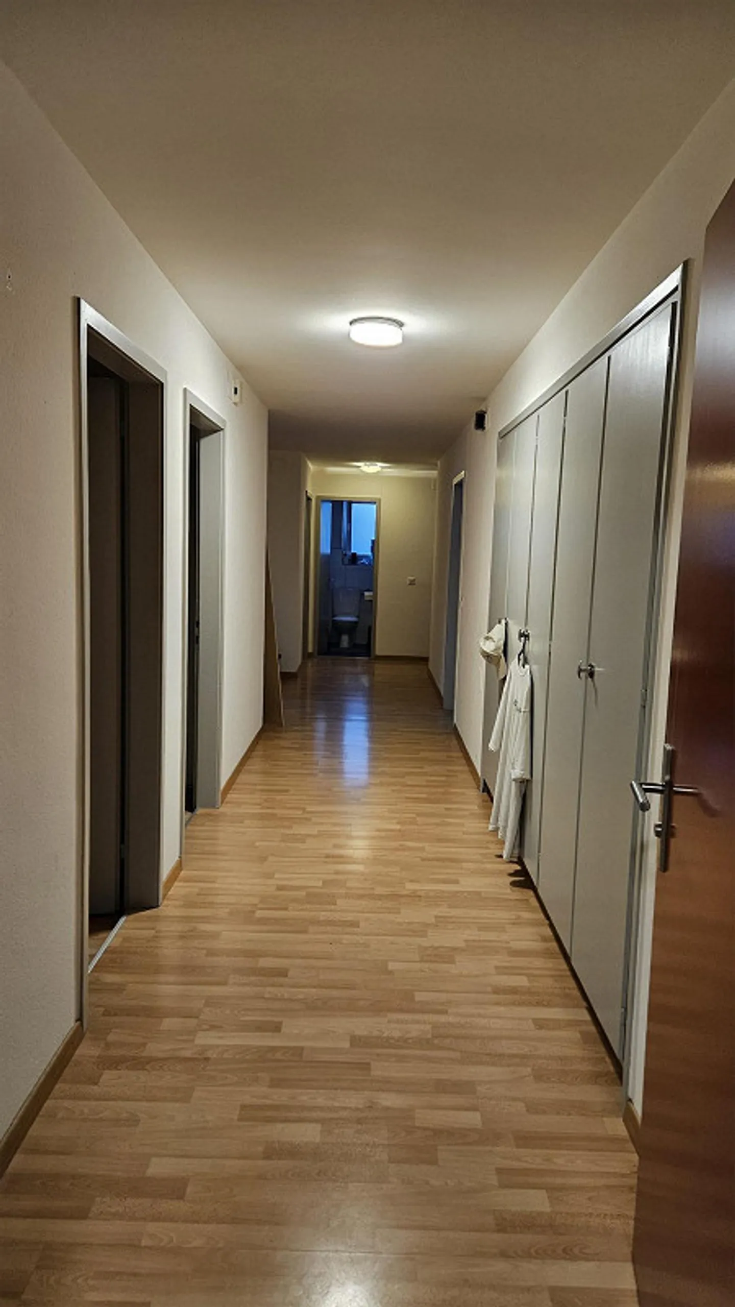 Bellissimo e spazioso appartamento di 5 stanze a Gossau SG - Foto 3 di 7