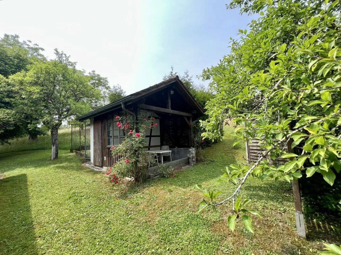 Proprietà con grande superficie di terreno e molto terreno edificabile - Foto 5 di 13