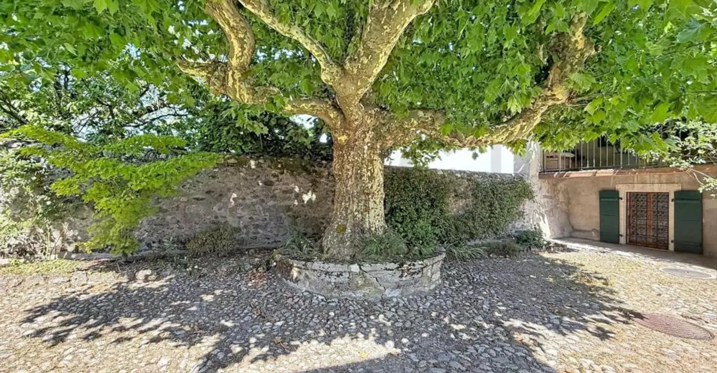 Maison Forte Historique à Satigny - Photo 7 sur 10