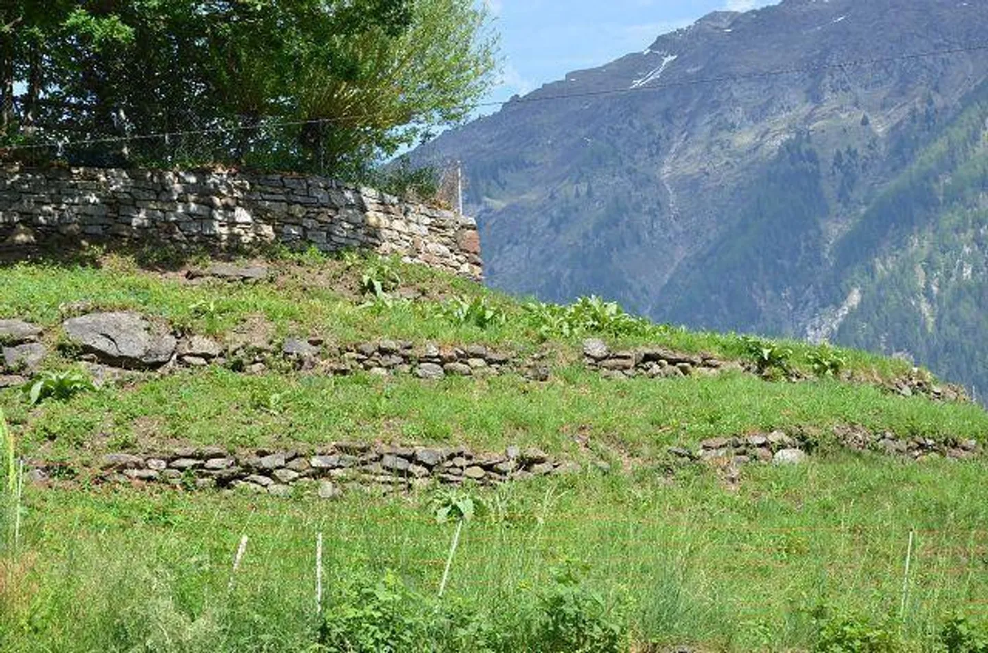 «vier Dorfhäuser mit grossem Umschwung / quattro case nel nucleo con grande giardino» - Foto 28 di 54