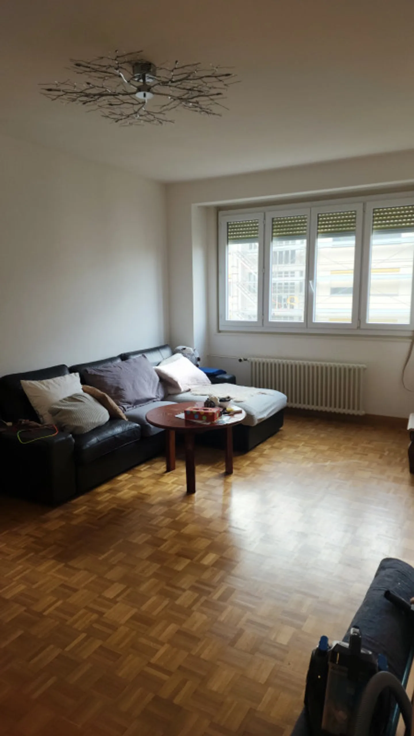 4-Zimmer-Wohnung in Eaux-Vives - Foto 1 von 9