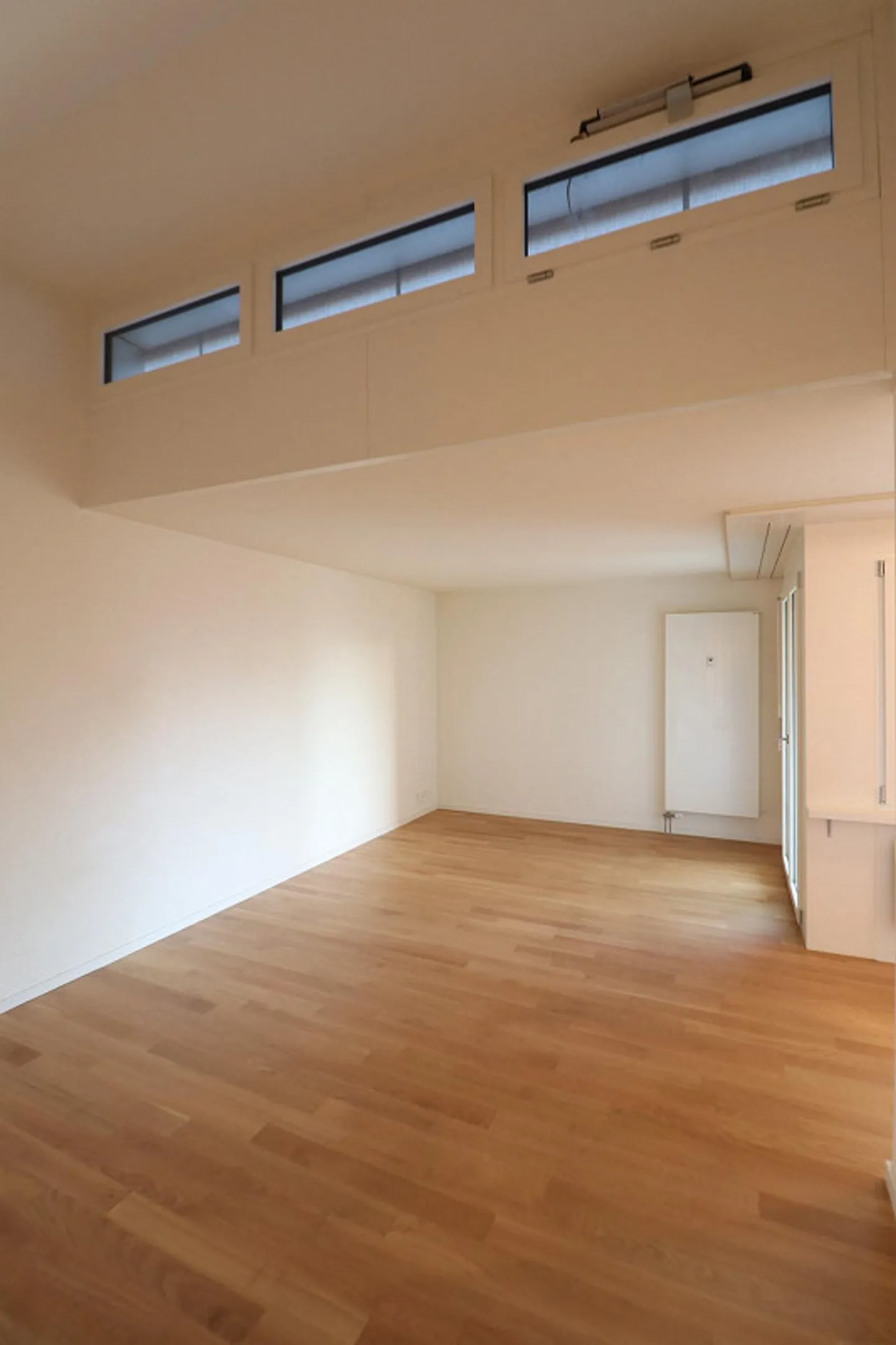 Bella appartamento 1.5 camere con vista montagna - Foto 6 di 10