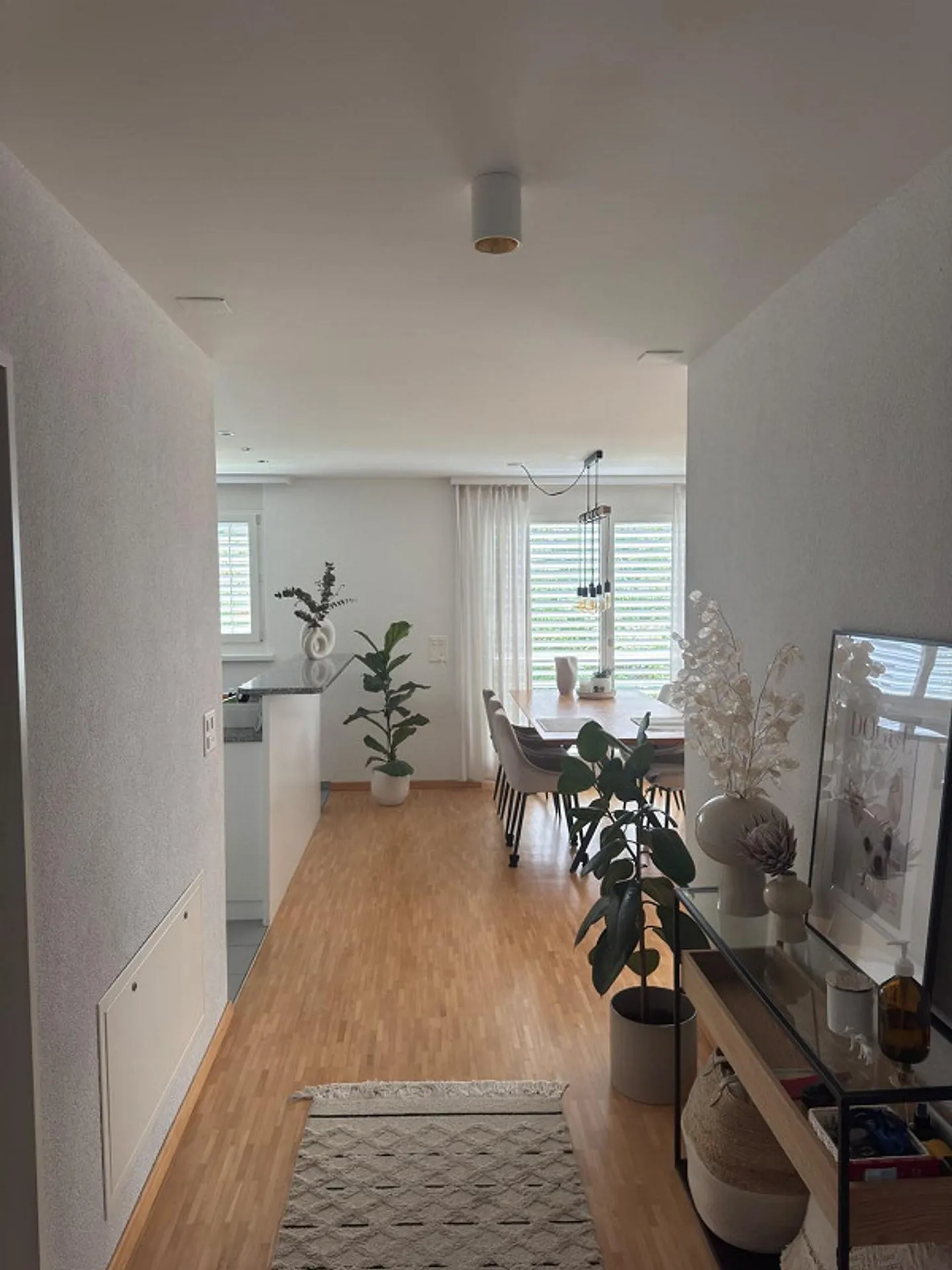 Vivere con comfort e tranquillità - Appartamento ben curato a Männedorf - Foto 2 di 10