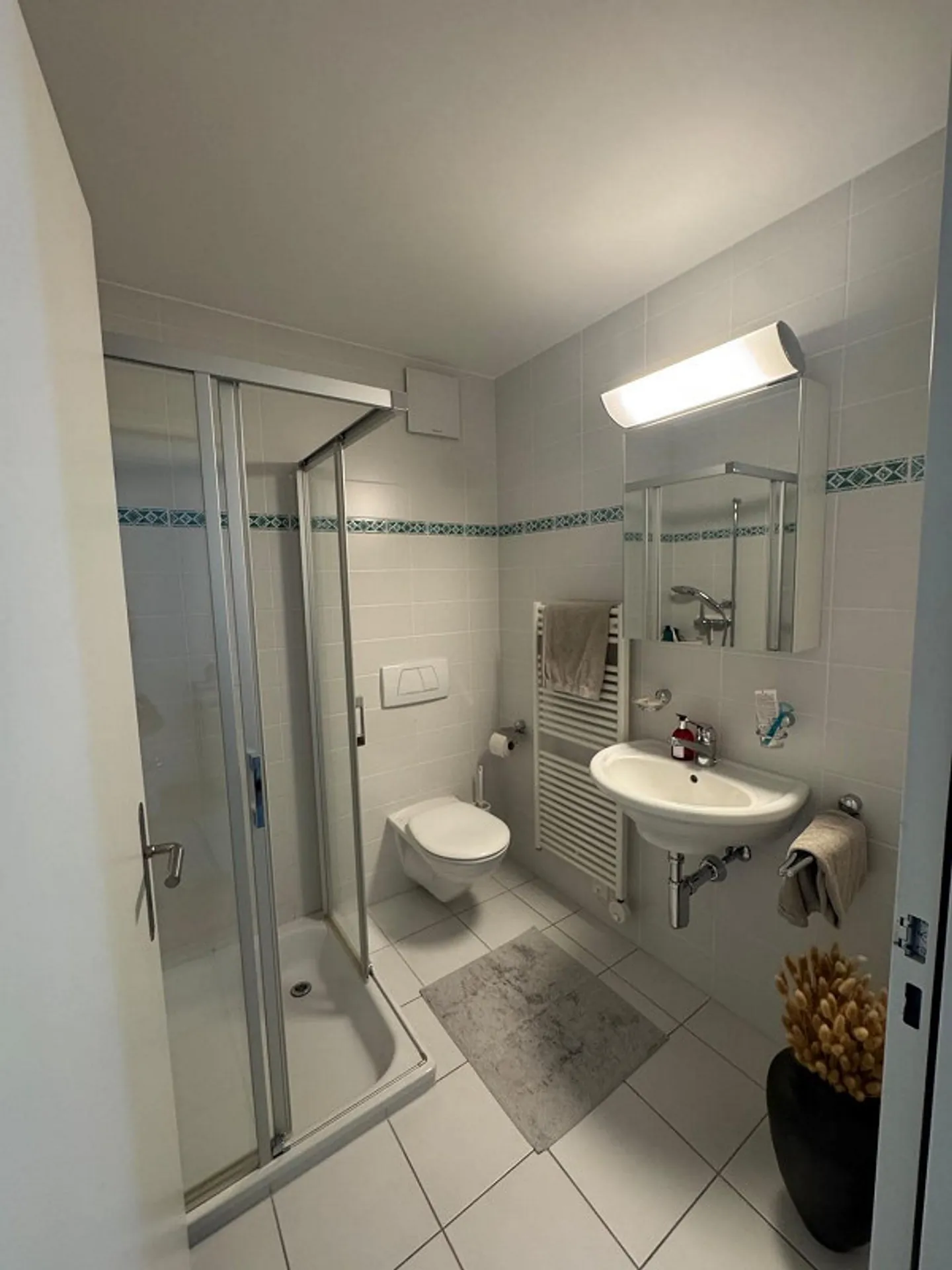 Vivere con comfort e tranquillità - Appartamento ben curato a Männedorf - Foto 3 di 10