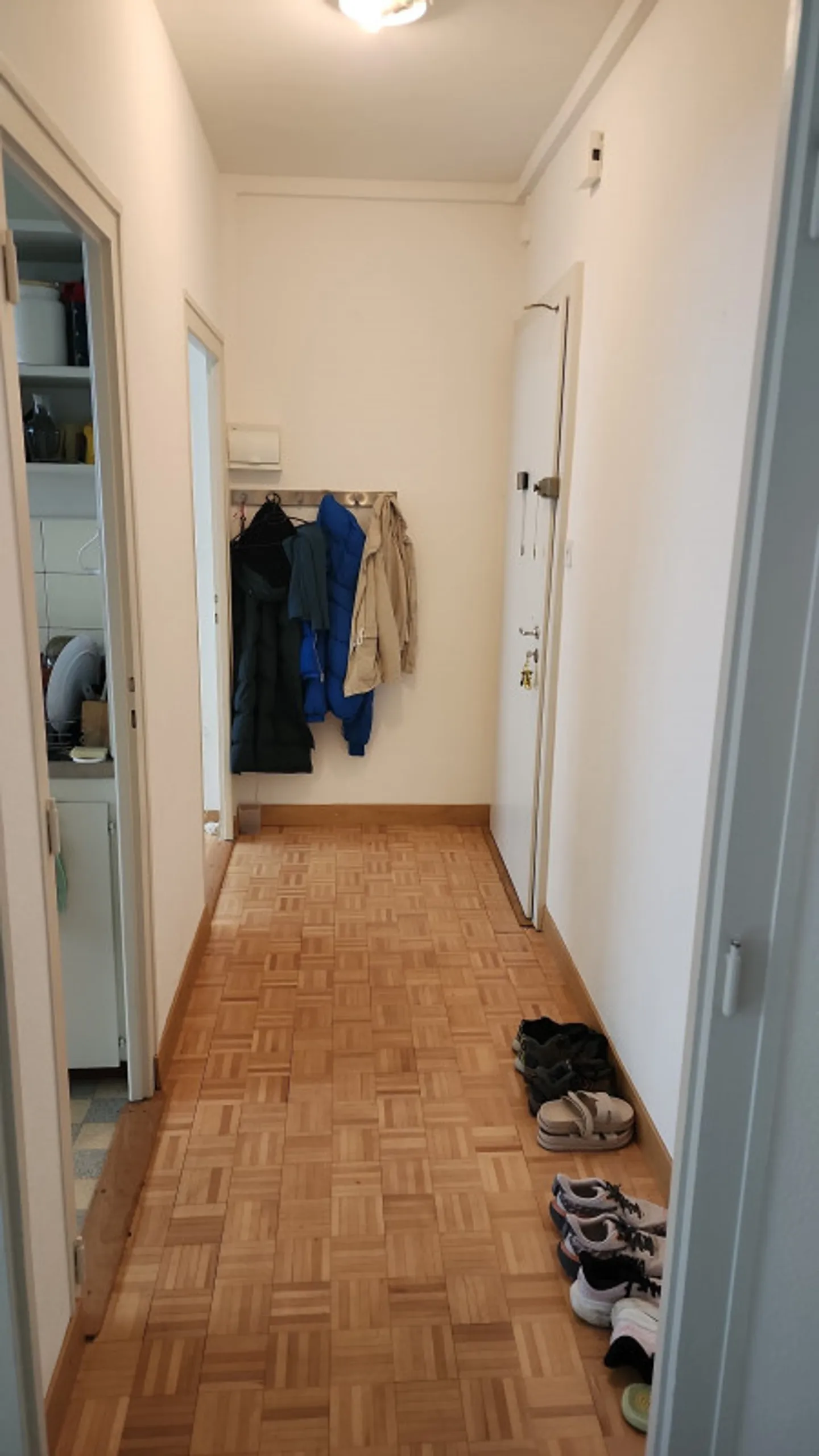4-Zimmer-Wohnung in Eaux-Vives - Foto 3 von 9