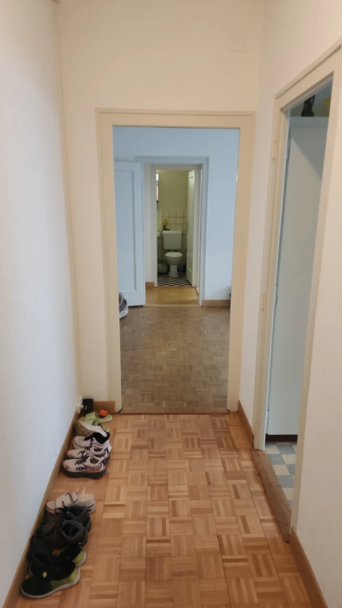 4-Zimmer-Wohnung in Eaux-Vives - Foto 4 von 9