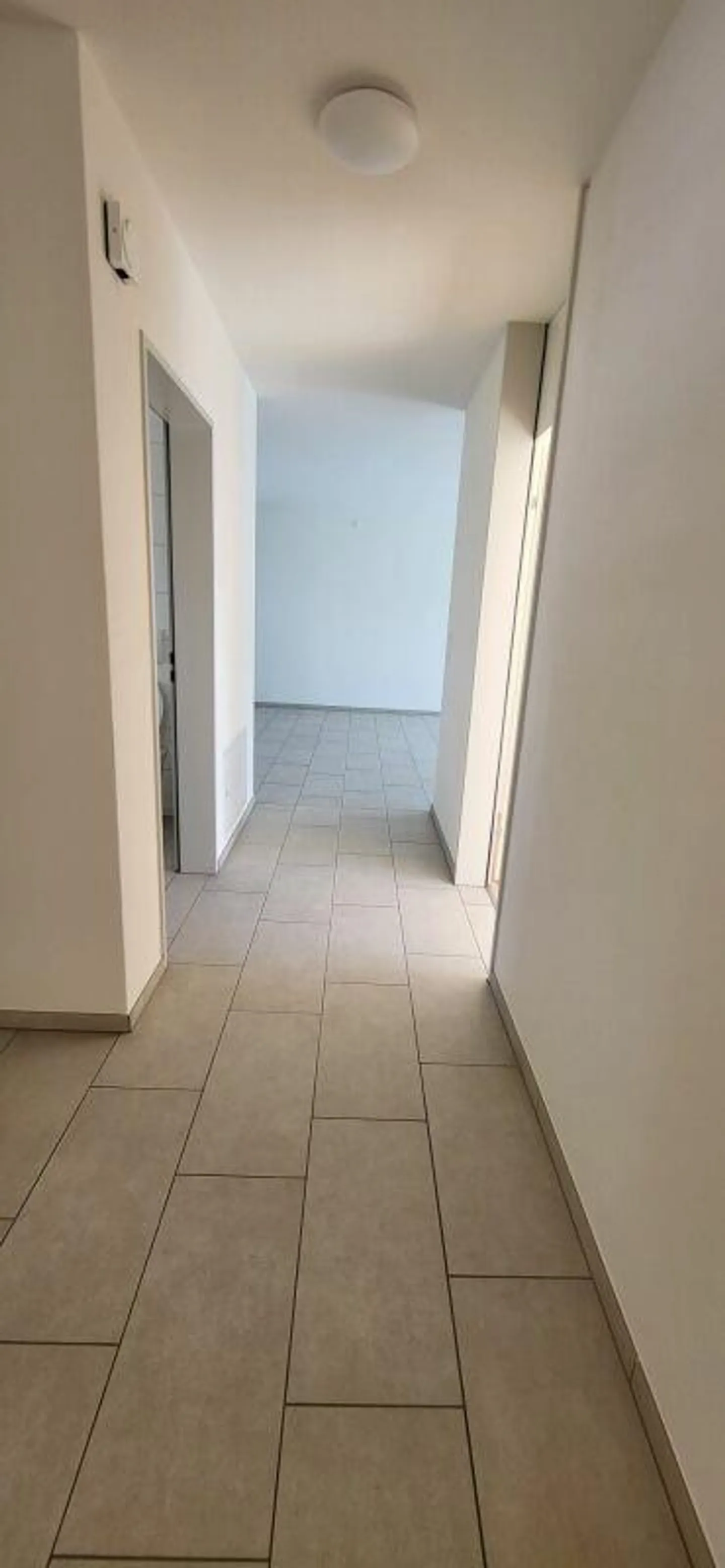 Beautiful 3-room apartment looking for a new resident with a flair for greenery! - Photo 6 of 14