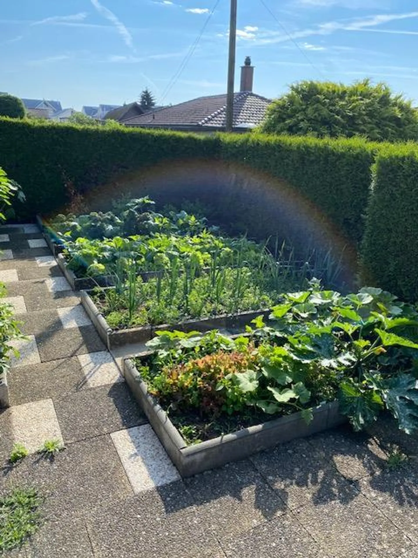 Country House Villa in Family-Friendly Location - Photo 7 of 22