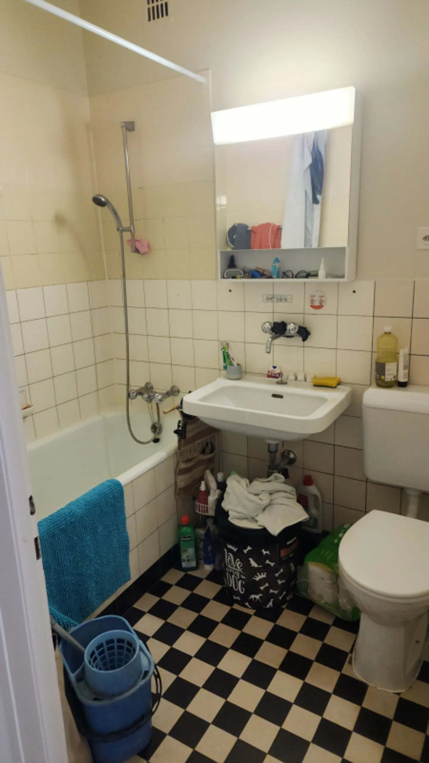 4-Zimmer-Wohnung in Eaux-Vives - Foto 9 von 9