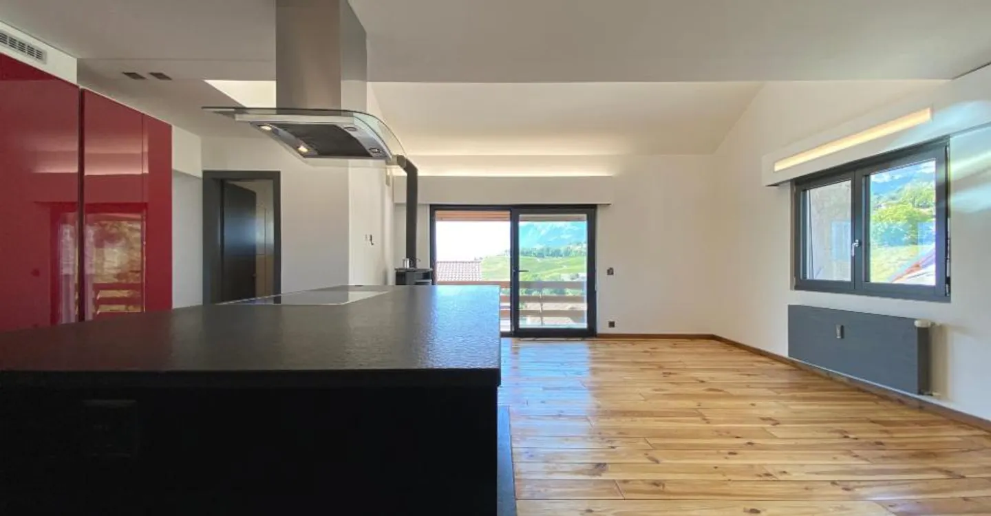 Grand Appartement en Attique - Photo 2 sur 12