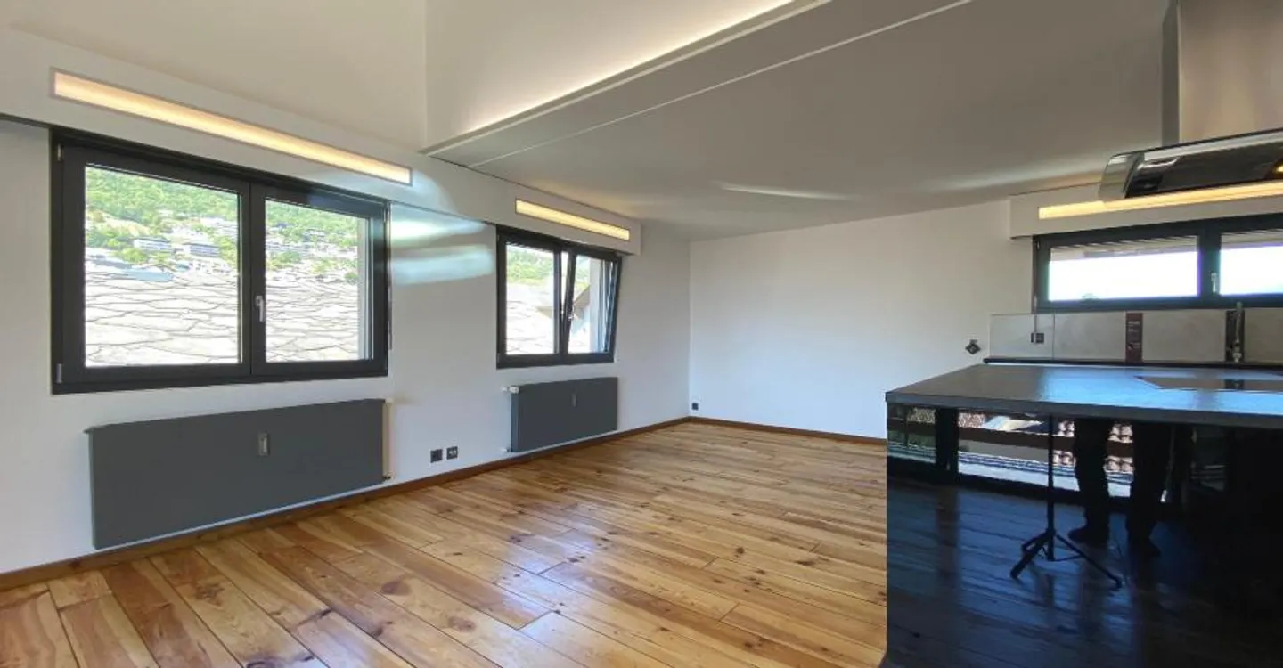 Grand Appartement en Attique - Photo 3 sur 12