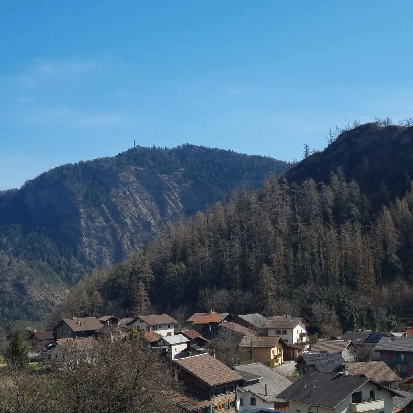 Casa singola in vendita - Foto 4 di 8