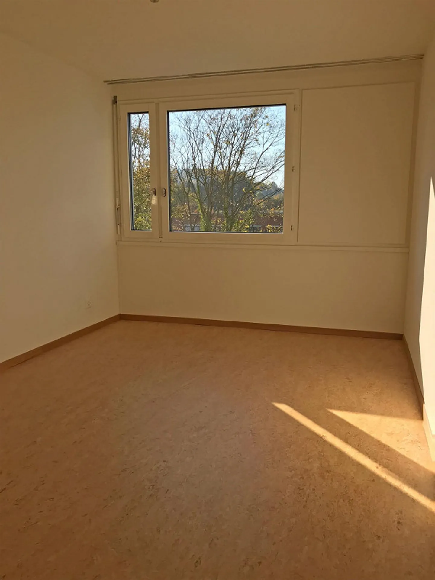 Cozy Single Apartment - Photo 3 of 6
