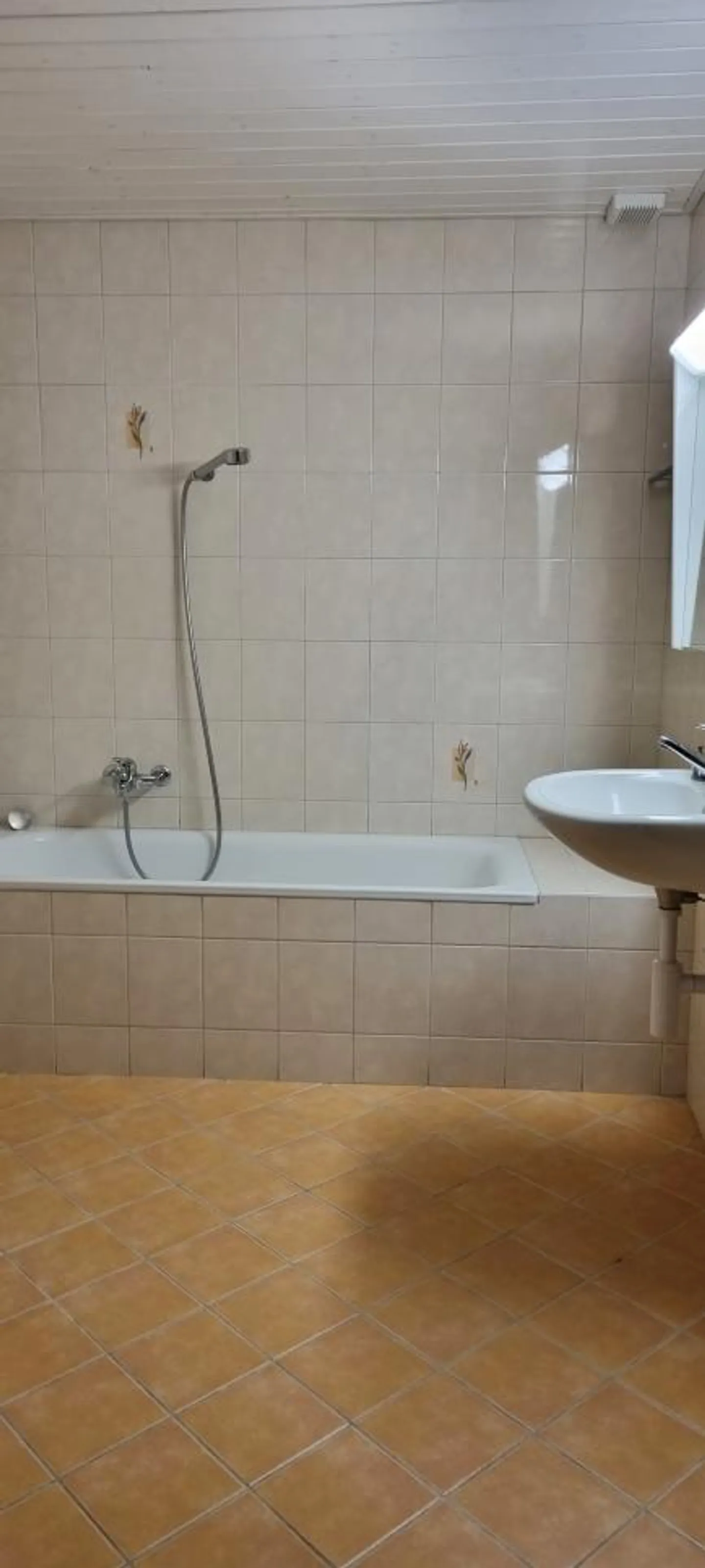 Superbo appartamento 3.5 stanze al 1° piano - Foto 7 di 8