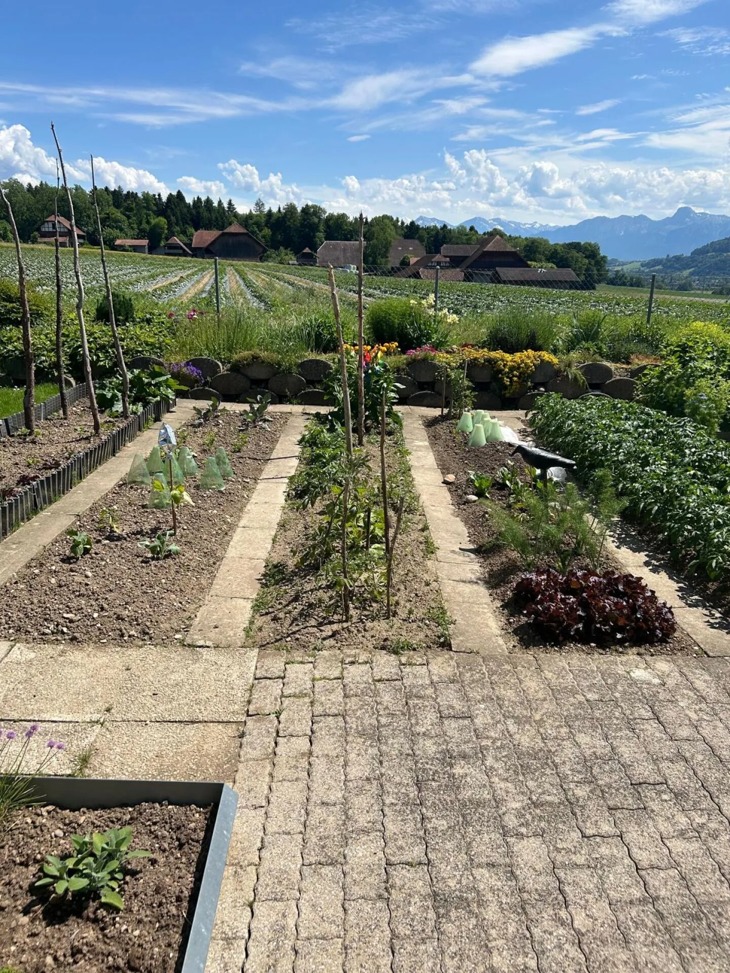 Appartamento da sogno di 4,5 stanze in un complesso residenziale tranquillo e ben curato - Foto 9 di 13