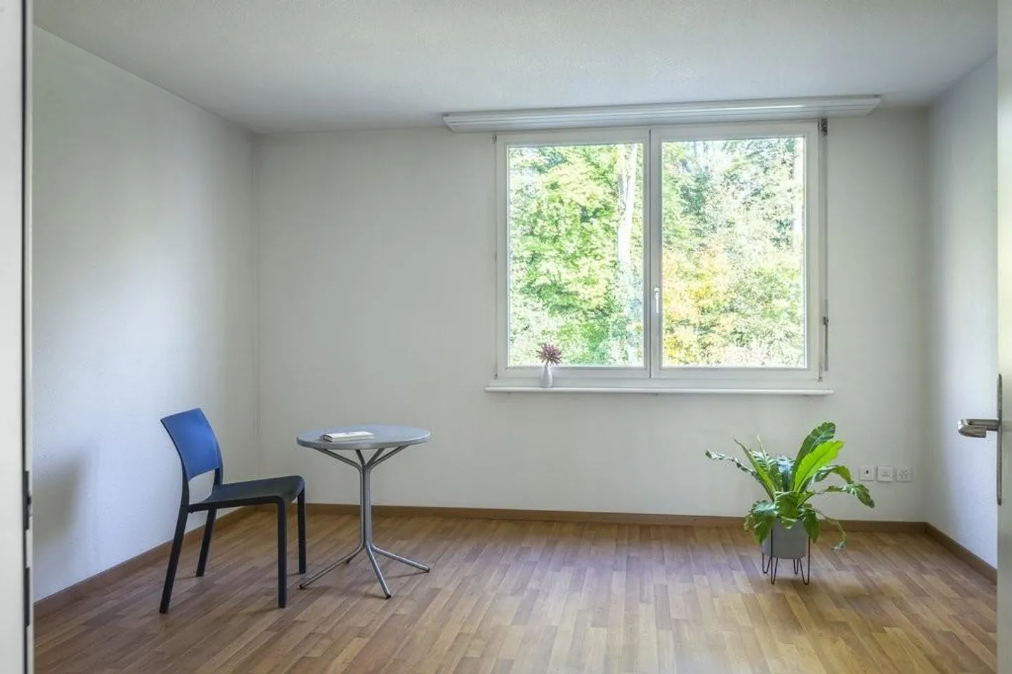 Charmante Wohnung in Ruhiger Lage - Foto 4 von 8