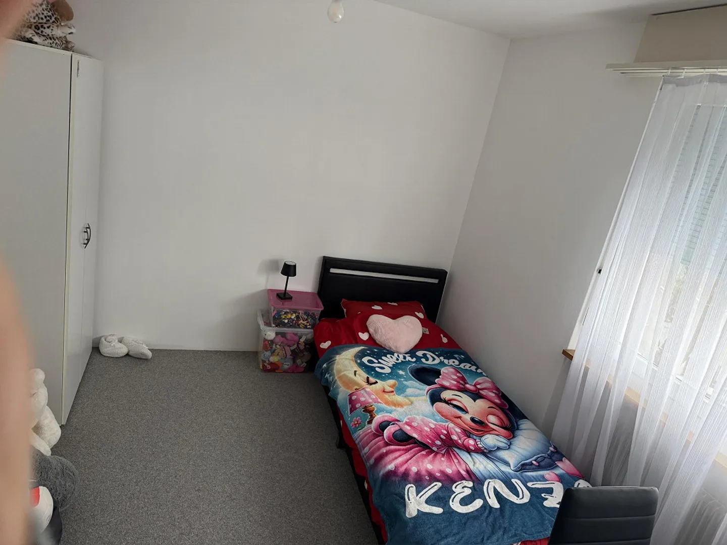 4 1/2 Room Apartment 1st Floor - Photo 11 of 18