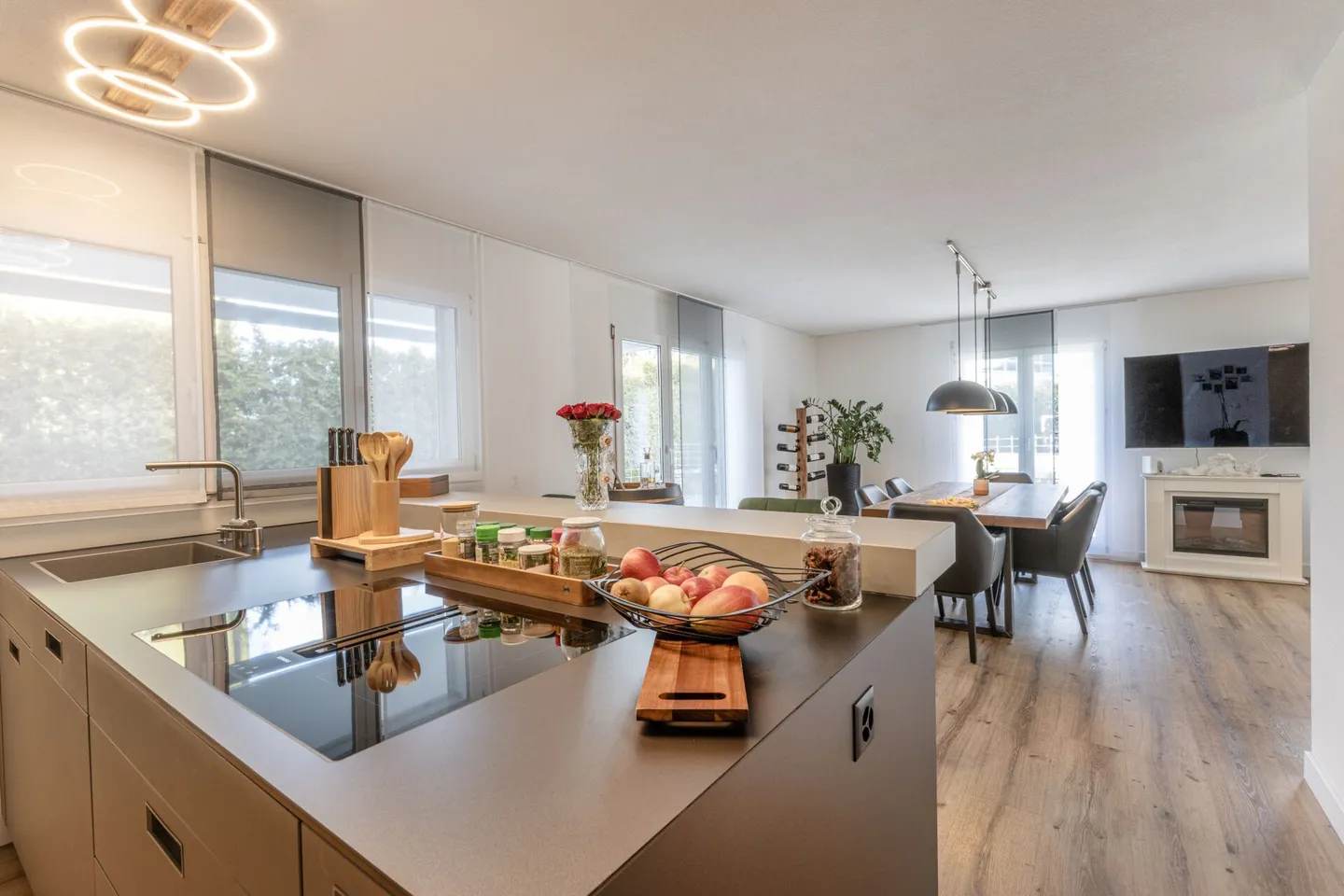 Casa unifamiliare moderna e indipendente con molto spazio per vivere, hobby e affari - Foto 6 di 29