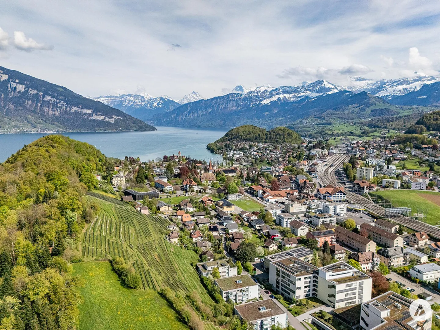 Incantevole casetta al vigneto di Spiez - Foto 3 di 13