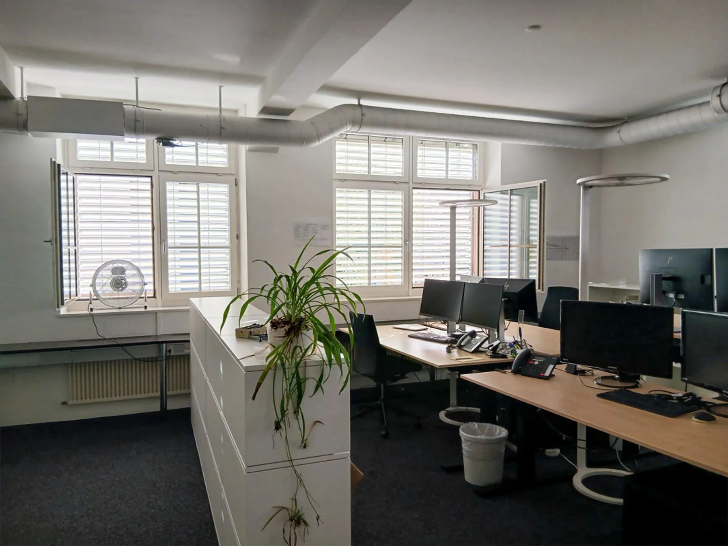 Spazi commerciali diversificati in affitto in una posizione privilegiata a Uster! - Foto 3 di 7