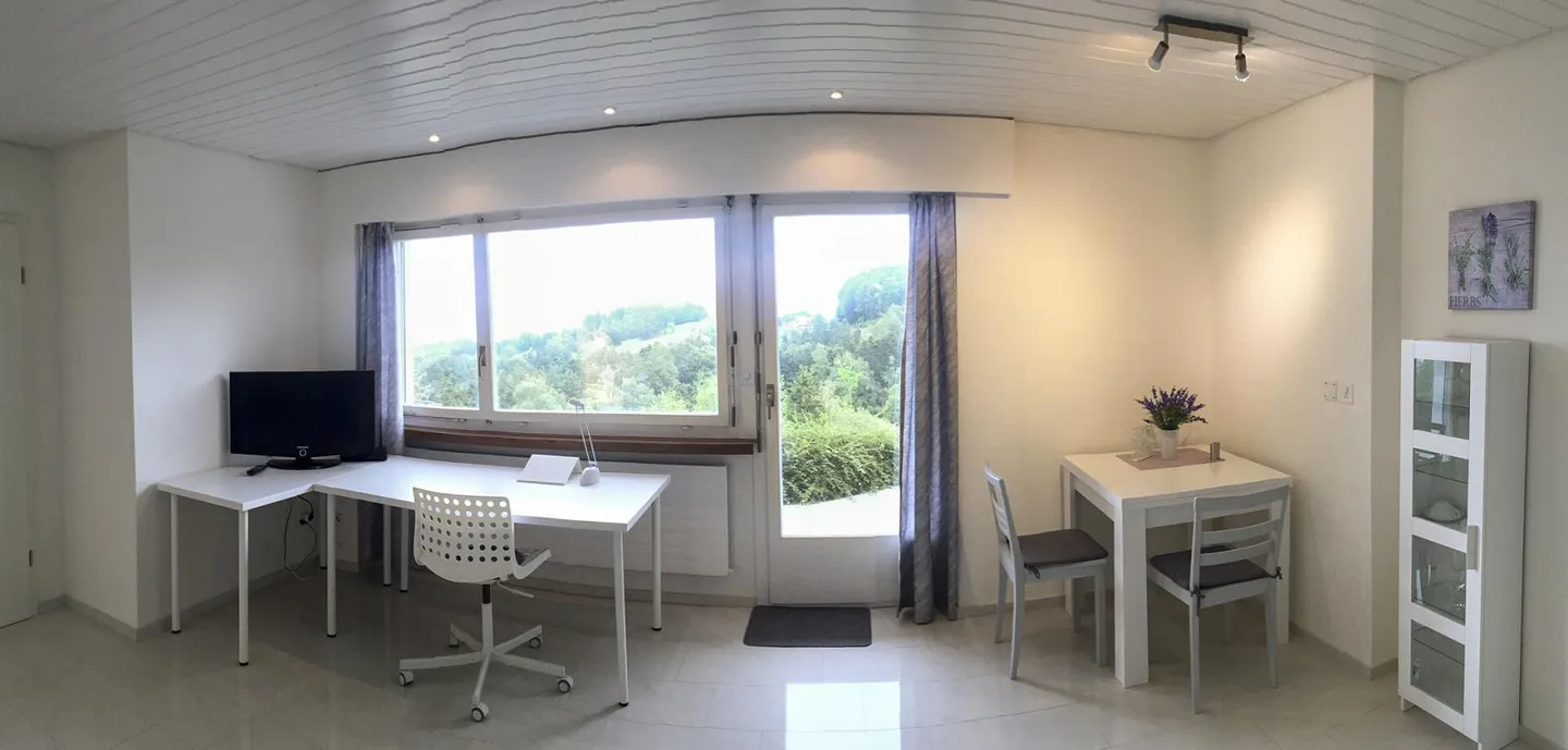 Detached single-family house with a separate apartment - Photo 21 of 21