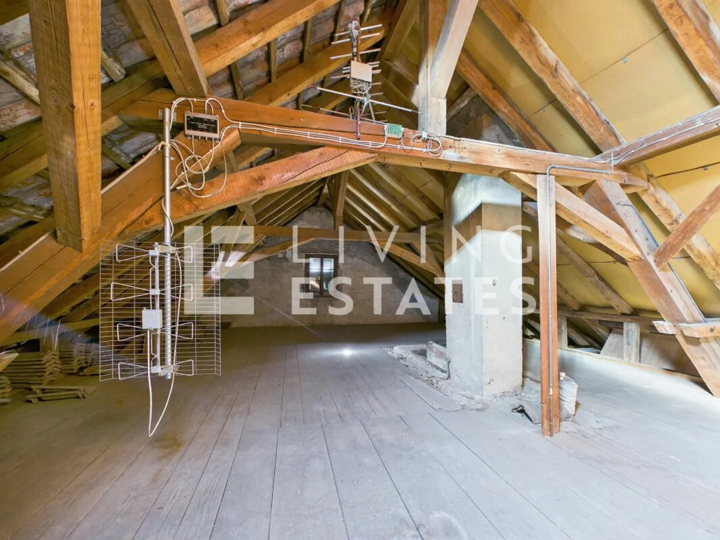 Charming Multi-Family Home - Photo 14 of 19