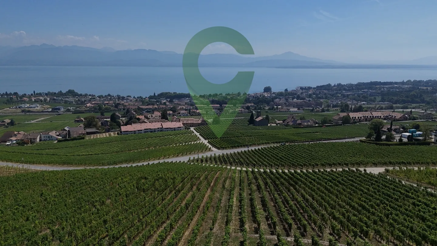 Vue panoramique lac et les Alpes et studio Indépendant en option - Photo 9 sur 11