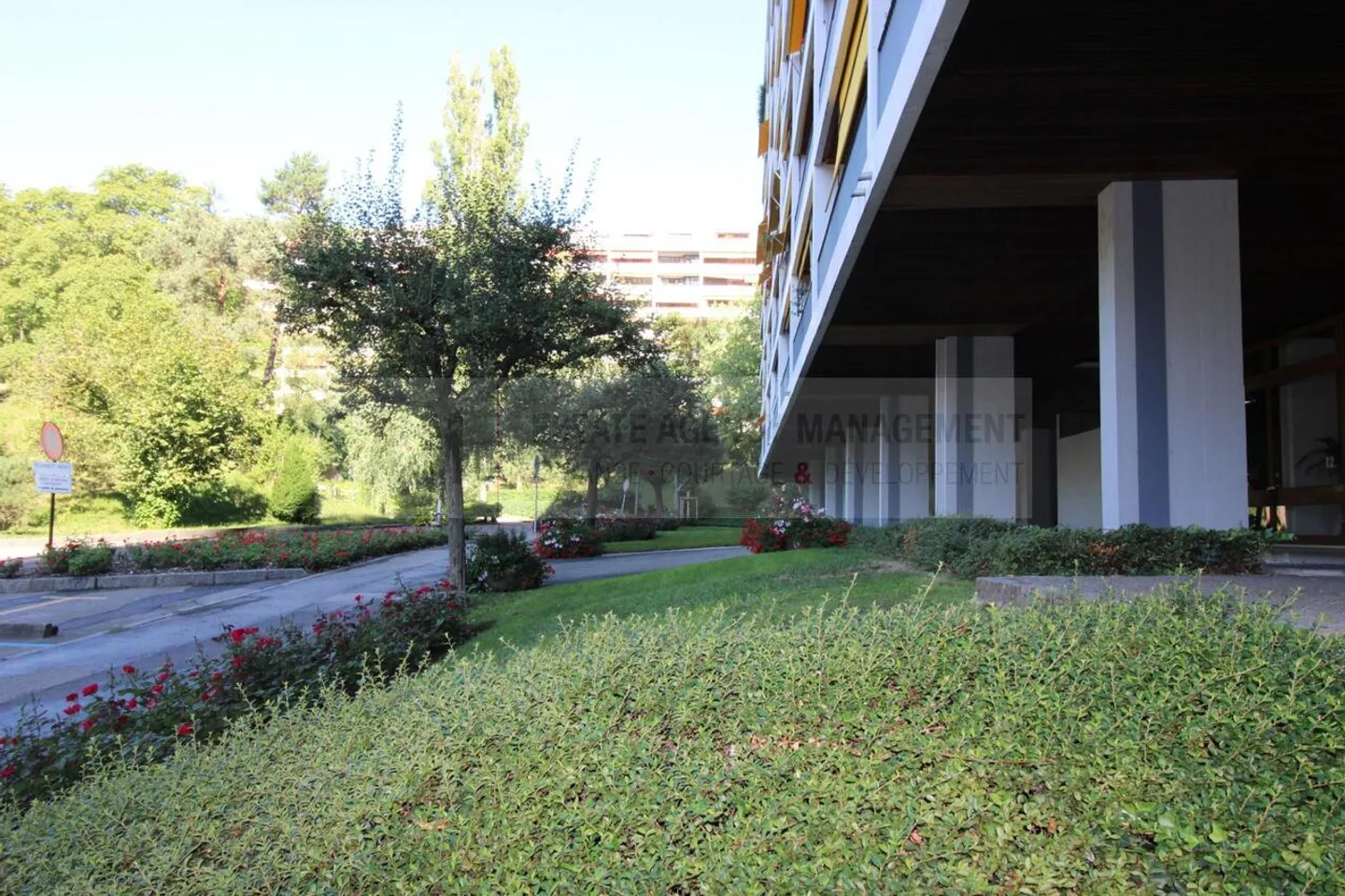 Appartamento in affitto - Foto 2 di 3