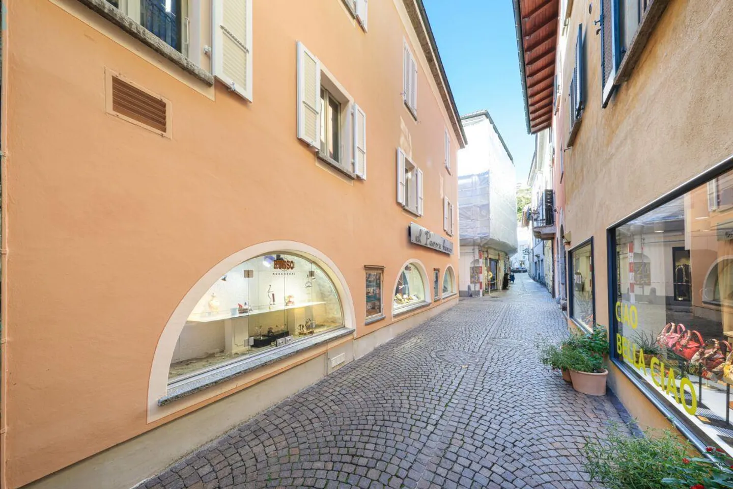 White Peacock - Photo 4 of 7