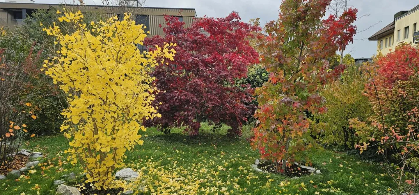 3 Room Furnished Apartment - Photo 5 of 5