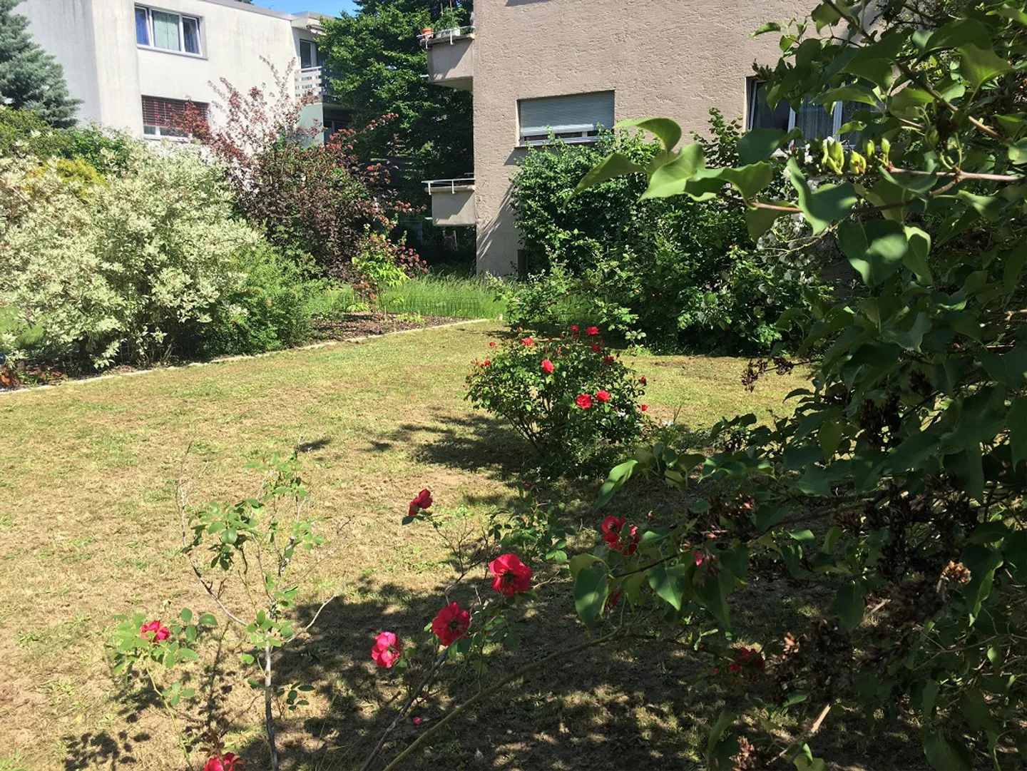 Appartamento di 5,5 stanze con giardino, terrazza, camino - Foto 4 di 5