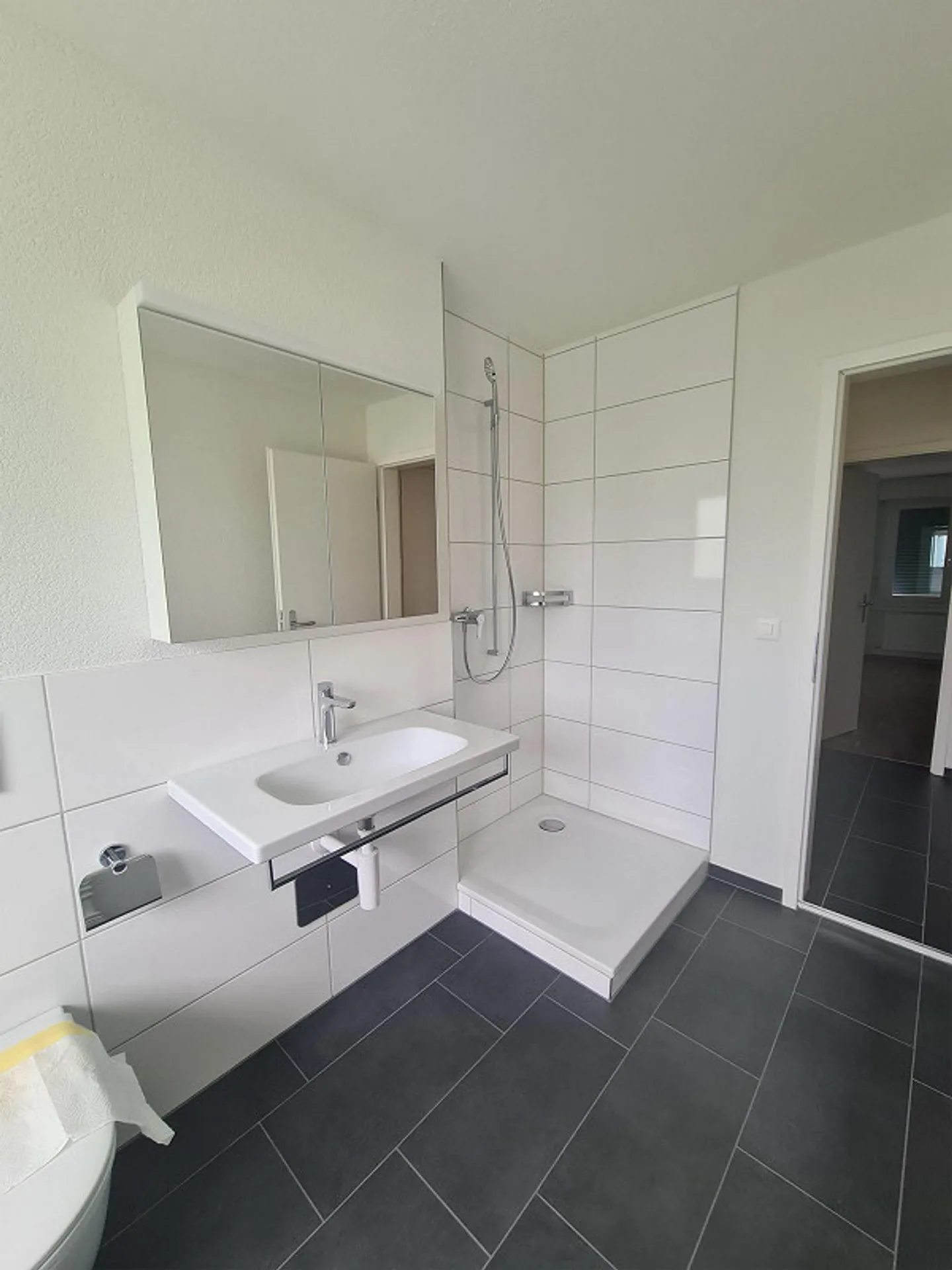 Renovated 3.5-room apartment on the mezzanine floor - Photo 9 of 9