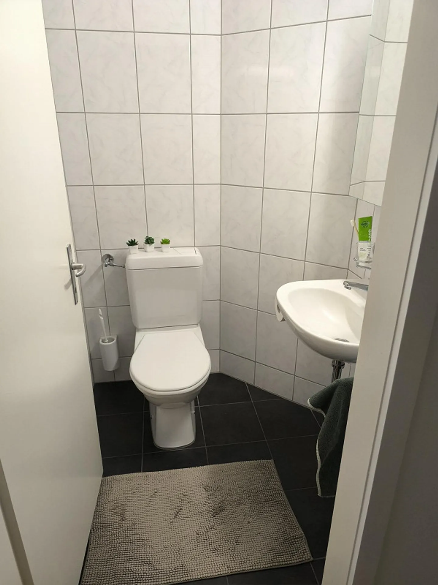 Subaffittuario a Hochdorf per appartamento di 3,5 stanze - Foto 5 di 10