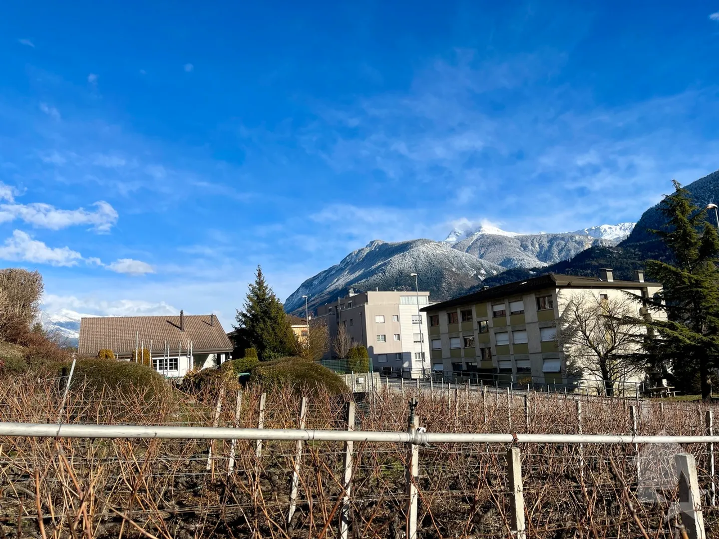 Da costruire, villa familiare di 5,5 stanze in un ambiente tranquillo - Foto 12 di 19