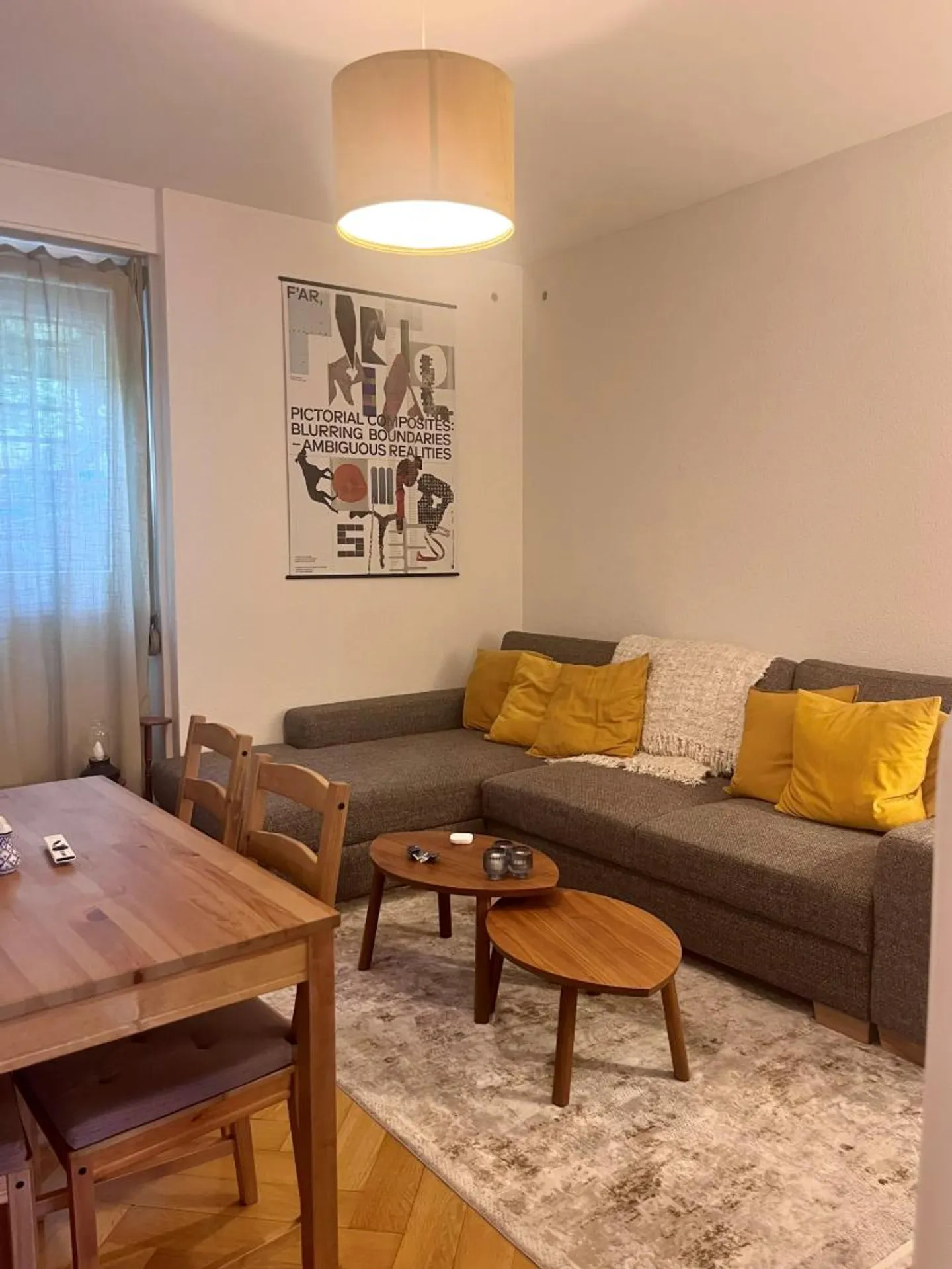 Assunzione del contratto di locazione a Losanna - Quartiere Mousquines - Foto 2 di 7