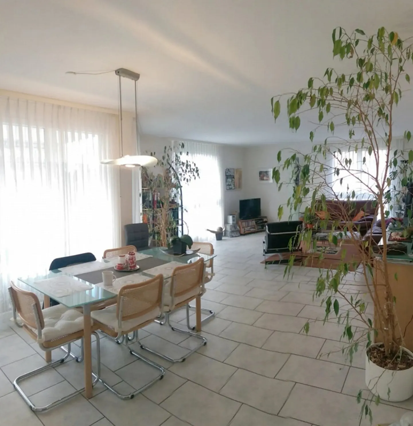 Elegant apartment with private washing machine/dryer, garden seating area, electric car connection - Photo 8 of 16