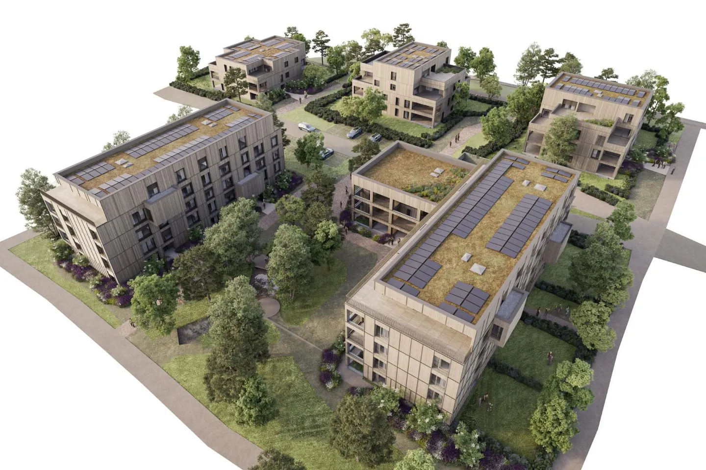 2,5-Zimmer-Wohnung - Foto 5 von 5