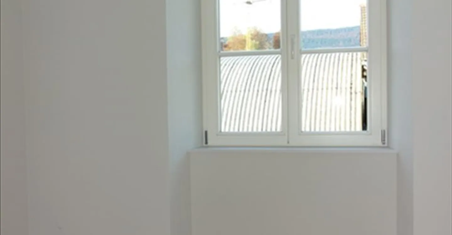 Appartement rénové avec garage - Photo 4 sur 6