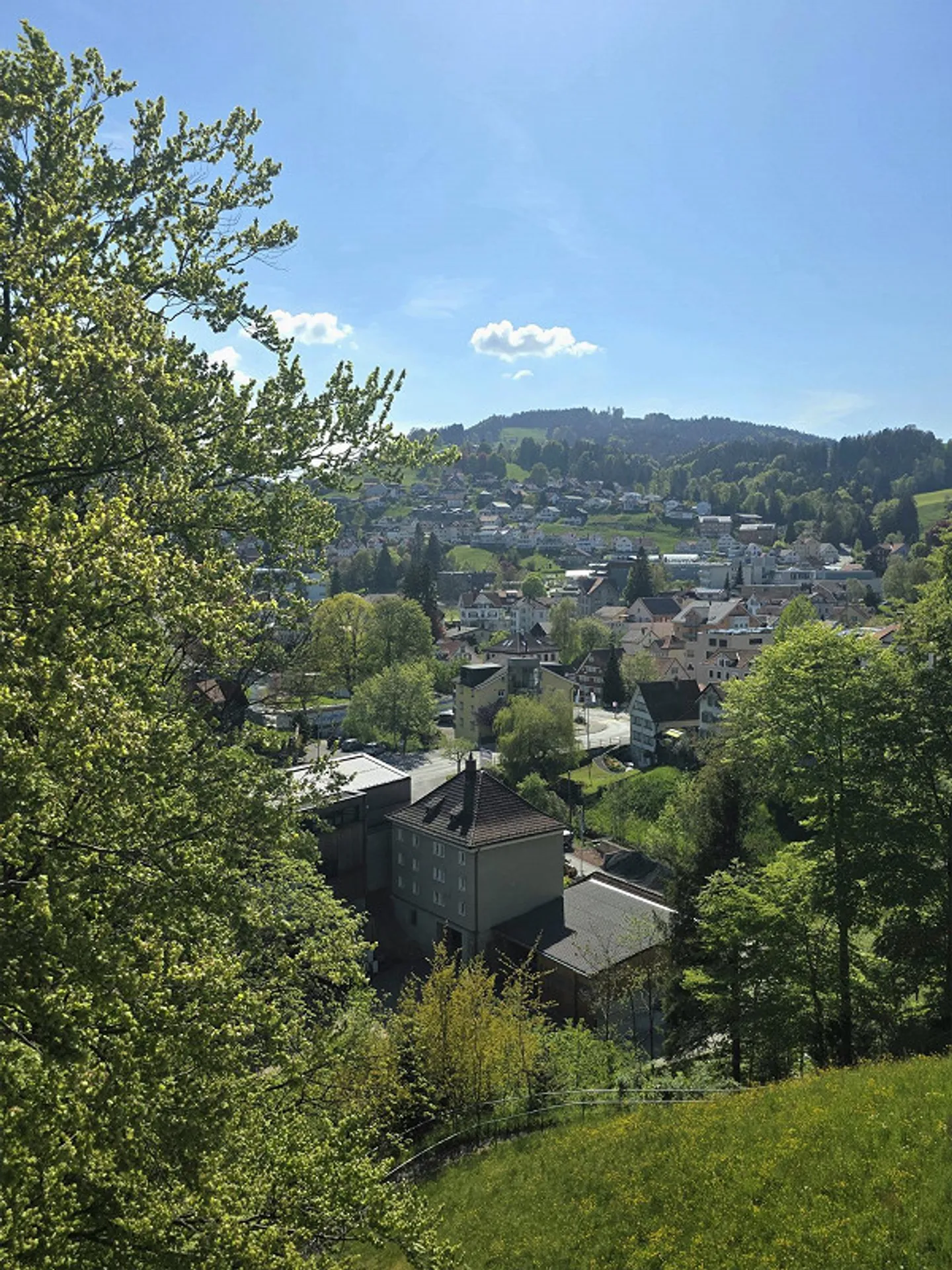 Grosszügige 4.5 Zimmerwohnung - Foto 13 von 13