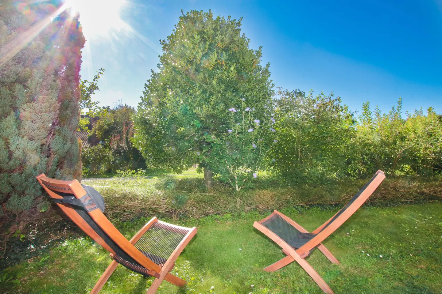 La tua vita quotidiana, solo più bella: Vivere con la sensazione di giardino - Foto 1 di 13