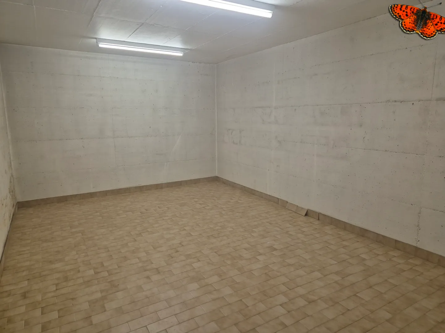 3 LAGERPLÄTZE - Am Eingang von Châtel-St-Denis! - Foto 4 von 5