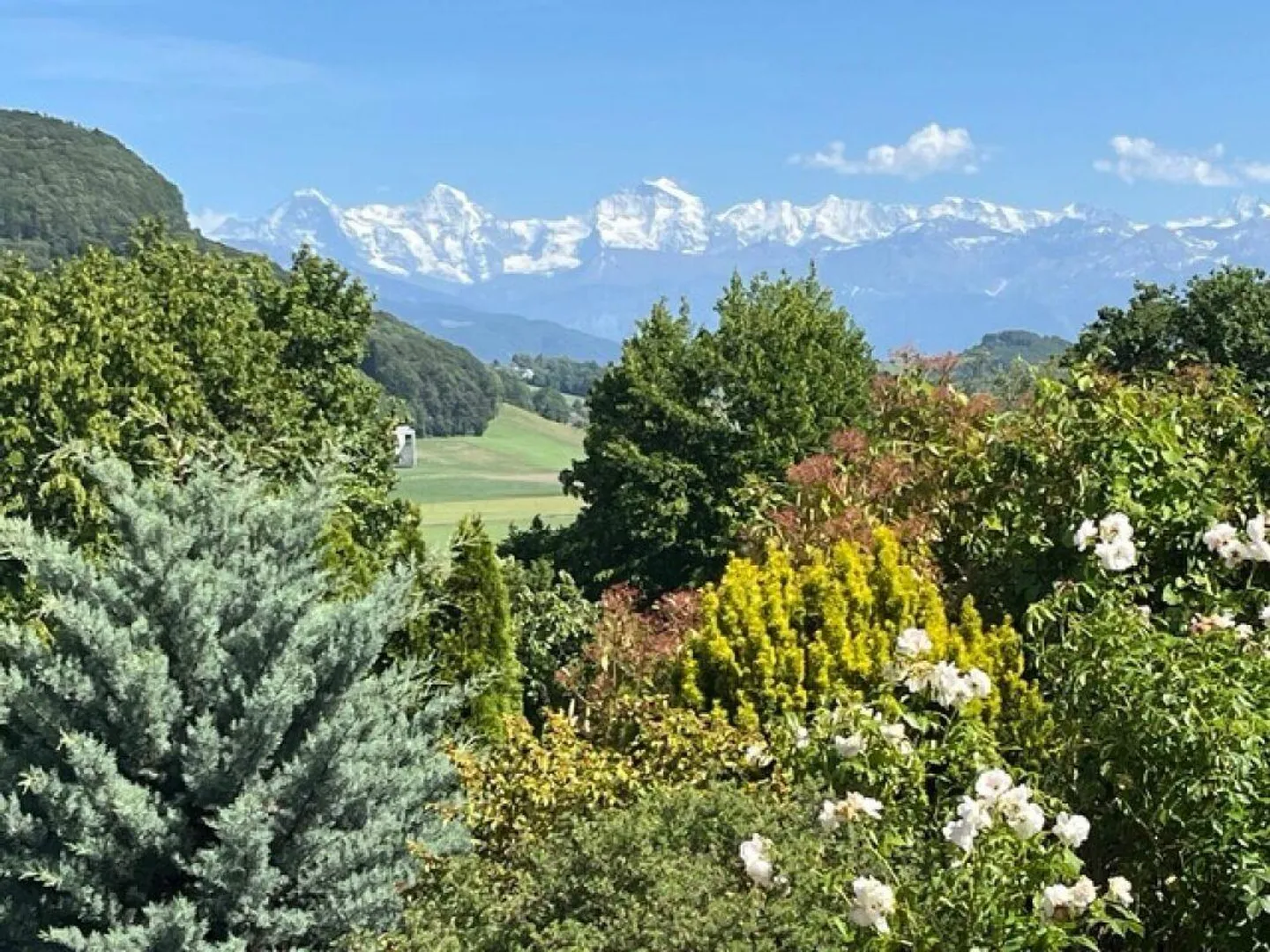 Modernes Einfamilienhaus mit Aussicht - Foto 12 von 13