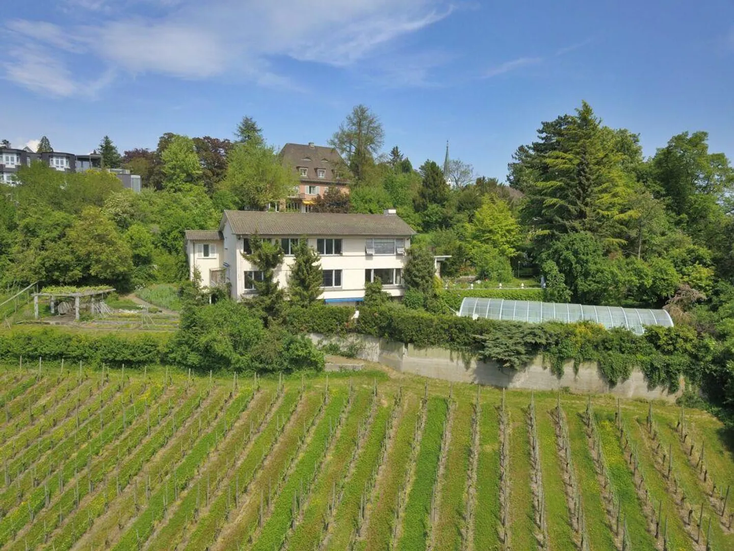 Privileged property on the vineyard slope with pool on Stokarberg - Photo 2 of 12