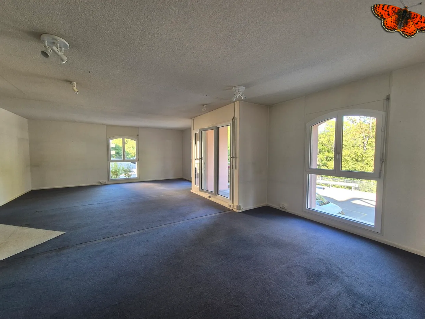 CHARMANTE OBERFLÄCHE VON 68M²! - Foto 4 von 7