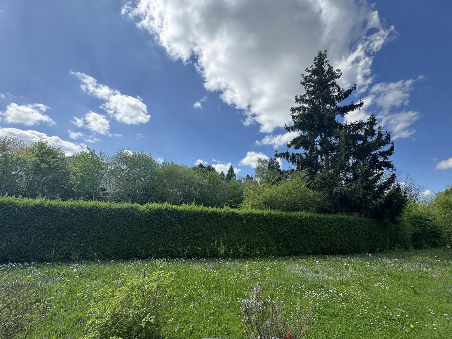 Tra il polso della città e l'idillio della natura - Foto 9 di 10