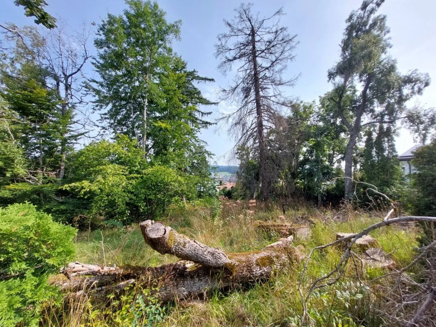 Terreno edificabile idealmente situato in una zona ricercata - Foto 4 di 4