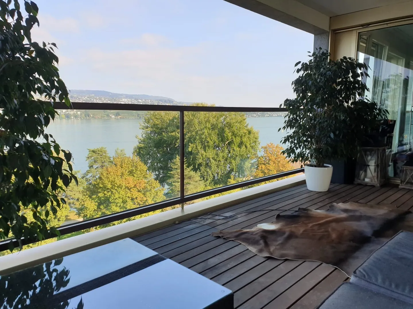 Elegante appartamento executive di 150 m2 con vista sulle Alpi e sul lago di Zurigo - Foto 8 di 45