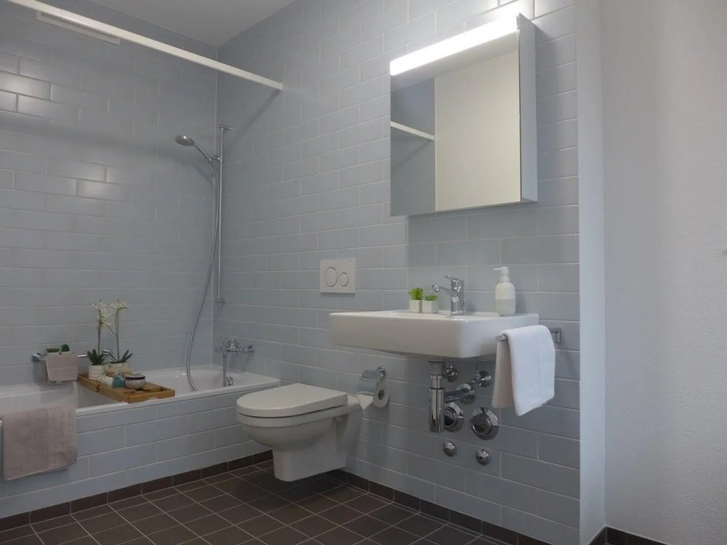 Living on the Edge of the Forest - Photo 6 of 8