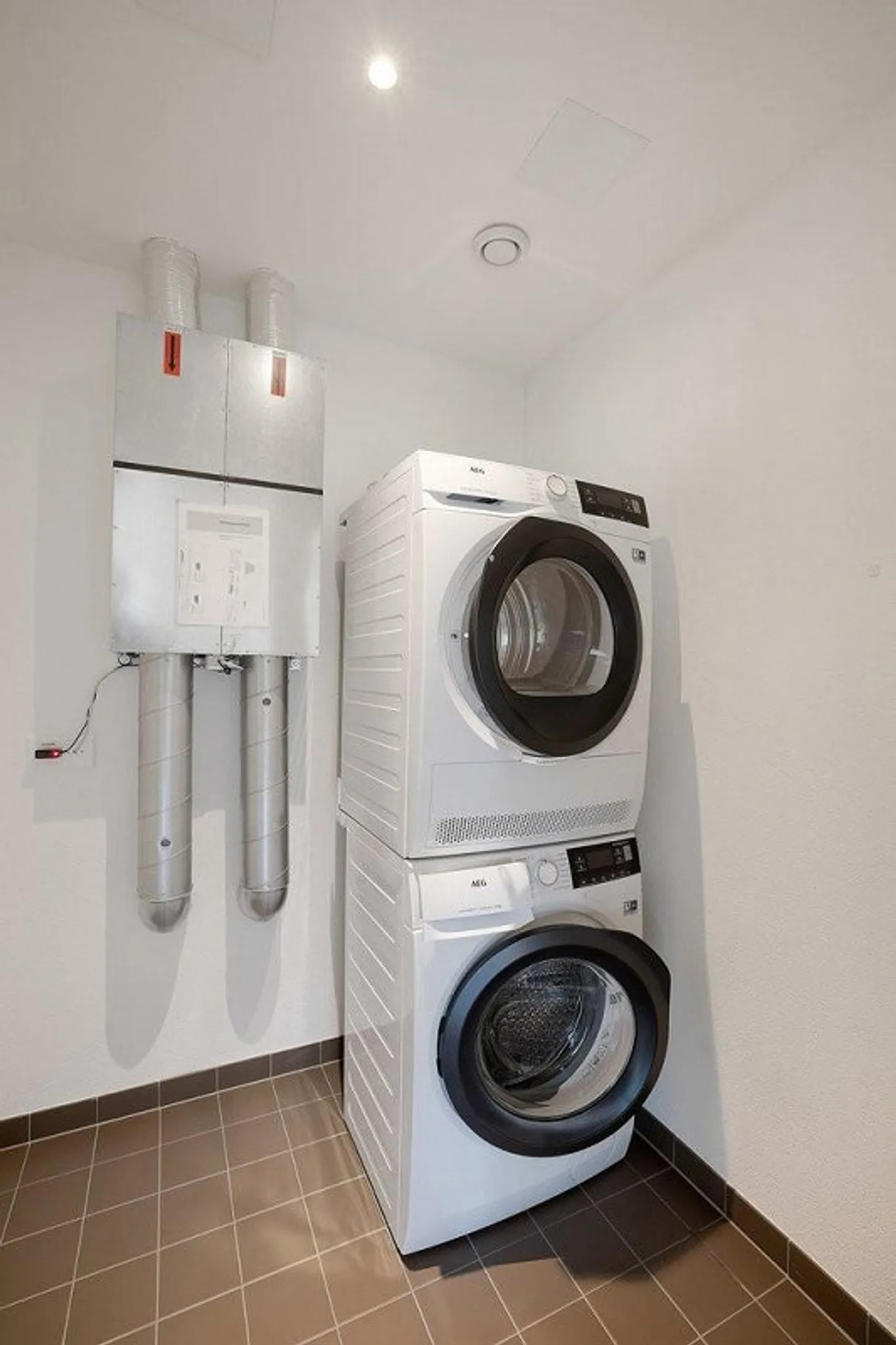 Living on the Edge of the Forest - Photo 8 of 8