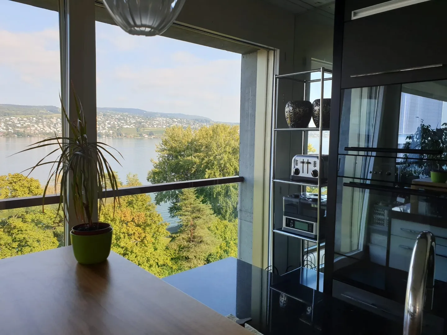 Elegante appartamento executive di 150 m2 con vista sulle Alpi e sul lago di Zurigo - Foto 9 di 45